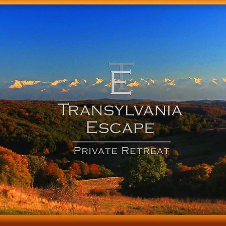 Апартаменты Transylvania Escape Richisu Экстерьер фото