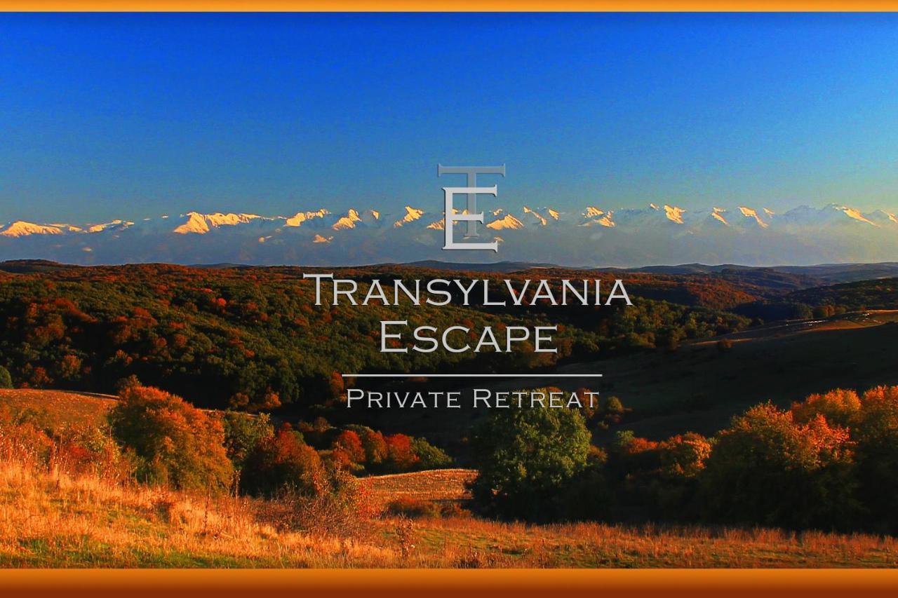 Апартаменты Transylvania Escape Richisu Экстерьер фото