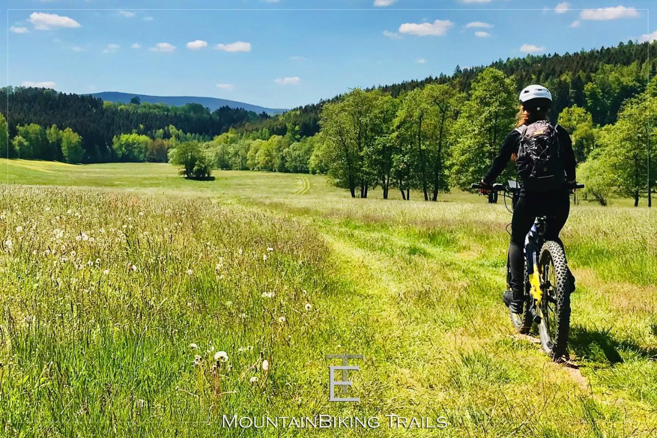 Апартаменты Transylvania Escape Richisu Экстерьер фото